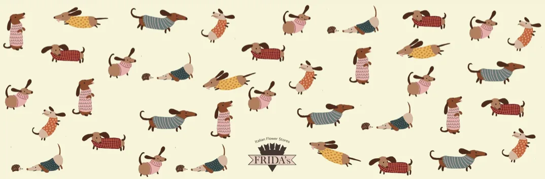 Grafica Frida's 3
